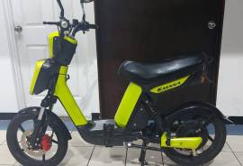 Katana, Bicicleta Katana Easy III 500 wts, 2021