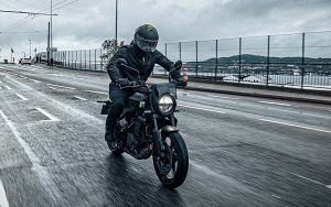 Husqvarna Svartpilen 250 - Imagen 12