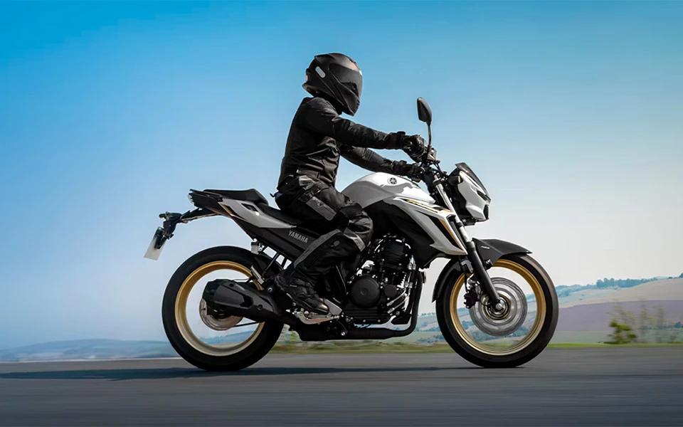 Yamaha FZ 250 Inyectada - Imagen 8