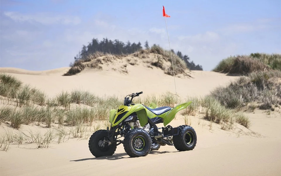 Yamaha Raptor 700R SE - Imagen 8
