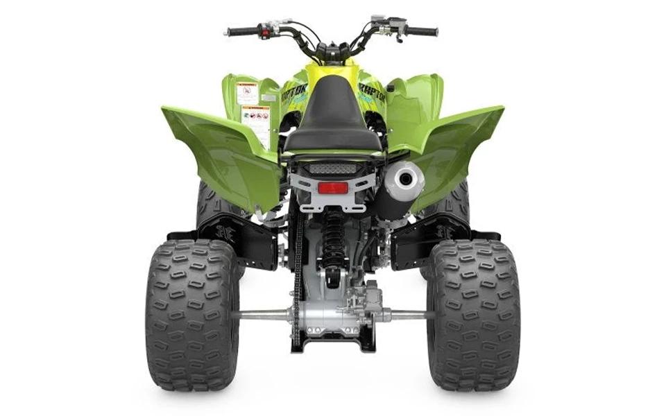 Yamaha Raptor 700R SE - Imagen 4