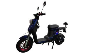 Eve Wolf Racer - Imagen 2