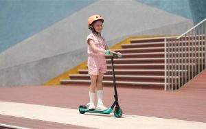 Segway Kickscooter A6 - Imagen 7