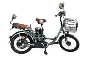 Enérgica YBR 350W - Imagen 3