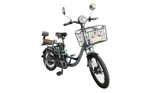 Enérgica YBR 350W - Imagen 2