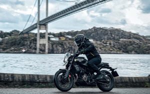 Husqvarna Svartpilen 401 - Imagen 7