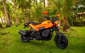 Honda Navi - Imagen 23