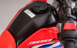 Honda CRF300L - Imagen 9