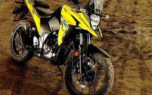 Suzuki V-Strom 250 SX - Imagen 12