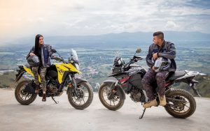 Suzuki V-Strom 250 SX - Imagen 8
