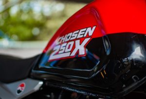 RAMBike Chosen 250X - Imagen 7