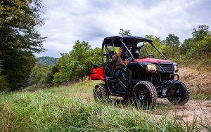 Honda Pioneer 520 - Imagen 11
