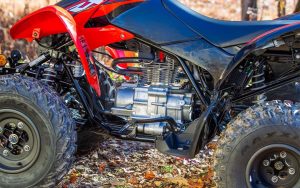 Honda TRX250X - Imagen 2