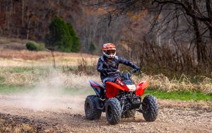 Honda TRX250X - Imagen 7