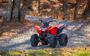 Honda TRX250X - Imagen 6
