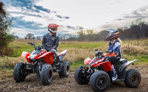 Honda TRX250X - Imagen 5