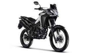 Honda Sahara 300 - Imagen 3