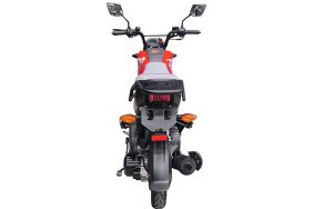 UM ZOOM 150 - Imagen 6